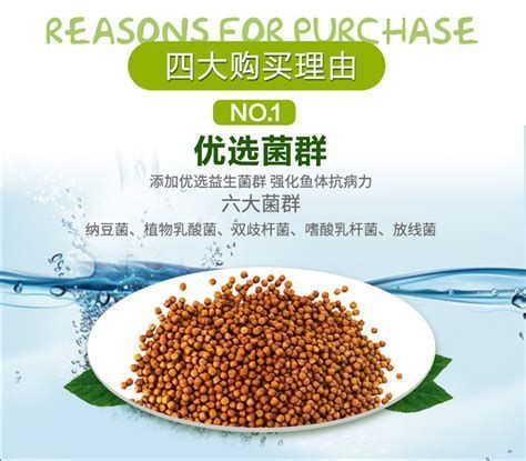 詳解（1000字和配圖）有哪些藥物可以治療龍魚消化不良？（龍魚消化不良怎么辦）