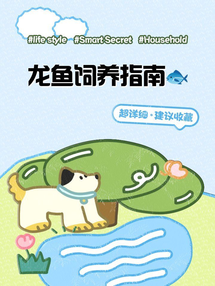 如何判斷自己是否適合養龍魚？（養龍魚的注意事項）