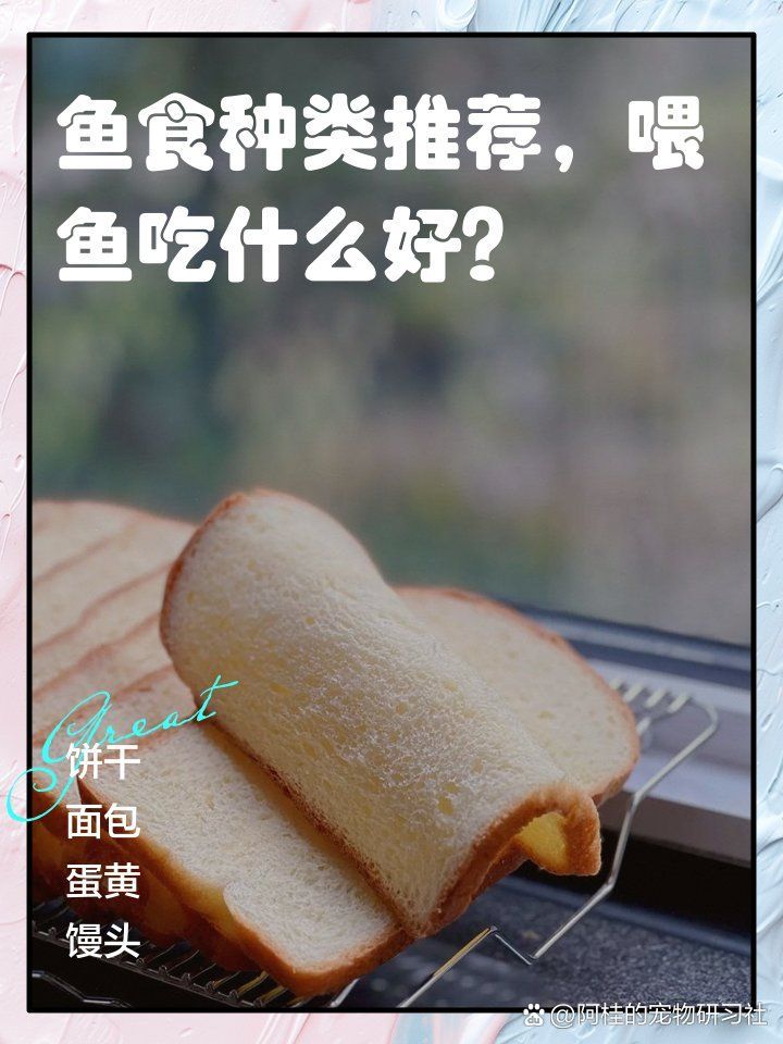 龍魚不吃魚糧，可以喂什么替代品？（當龍魚不吃魚糧時，可以考慮使用一些替代品來滿足它們對營養需求）