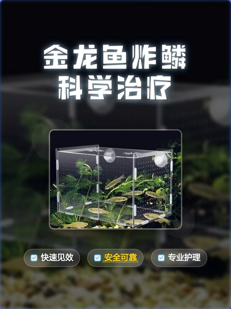如何判斷金龍魚(yú)是否炸鱗？（如何判斷金龍魚(yú)是否炸鱗） 如何判斷金龍魚(yú)是否炸鱗？（如何判斷金龍魚(yú)是否炸鱗） 龍魚(yú)百科 第2張