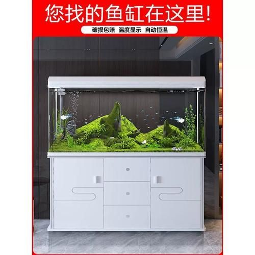 西龍魚缸有哪些型號（西龍魚缸選購攻略）