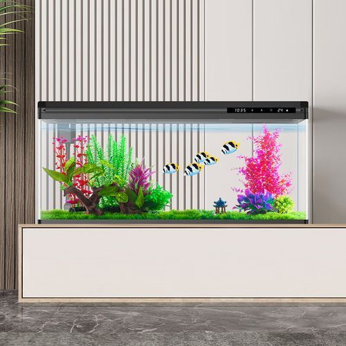 西龍魚缸有哪些型號（西龍魚缸選購攻略）