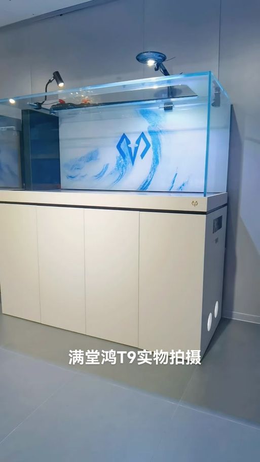 除了以上品牌，還有哪些龍魚缸品牌值得推薦？（高端魚缸品牌對比清單）