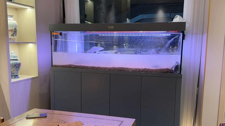 除了以上品牌，還有哪些龍魚缸品牌值得推薦？（高端魚缸品牌對比清單）