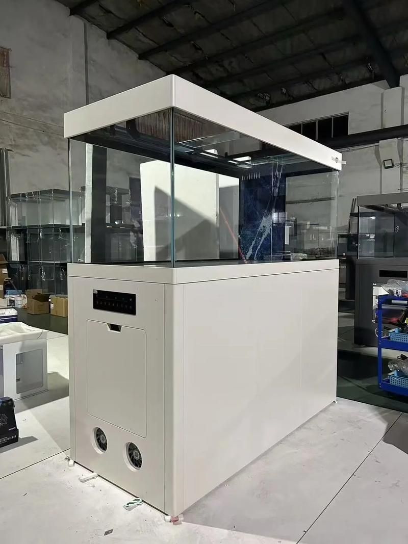 除了以上品牌，還有哪些龍魚缸品牌值得推薦？（高端魚缸品牌對比清單）