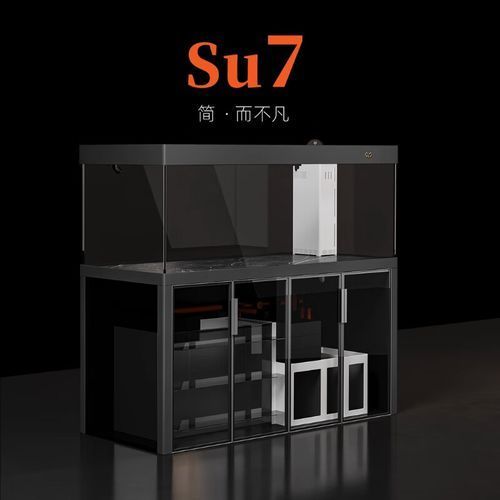 除了以上品牌，還有哪些龍魚缸品牌值得推薦？（高端魚缸品牌對比清單）