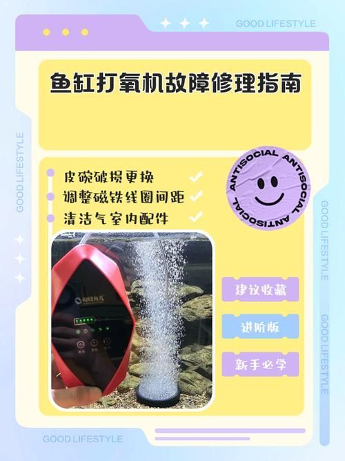 如何檢測金龍魚缸中的溶解氧？