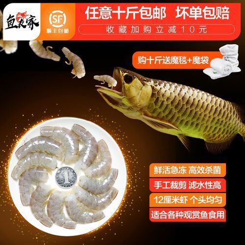 有哪些食物可以替代活泥鰍作為龍魚(yú)餌料？（龍魚(yú)的飼養(yǎng)過(guò)程中，活泥鰍可能難以獲得或價(jià)值昂貴的食物）