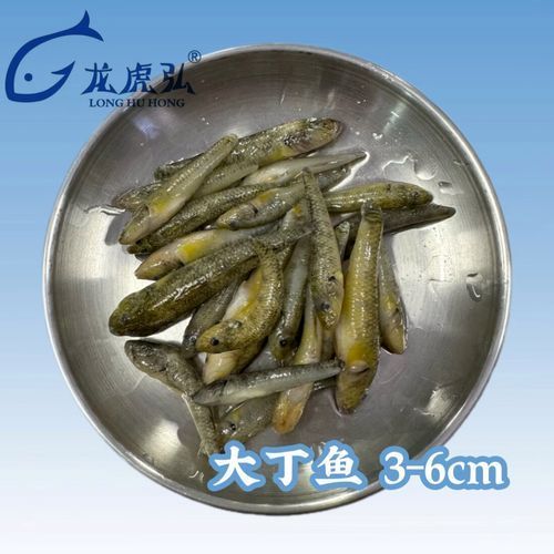 有哪些食物可以替代活泥鰍作為龍魚(yú)餌料？（龍魚(yú)的飼養(yǎng)過(guò)程中，活泥鰍可能難以獲得或價(jià)值昂貴的食物）