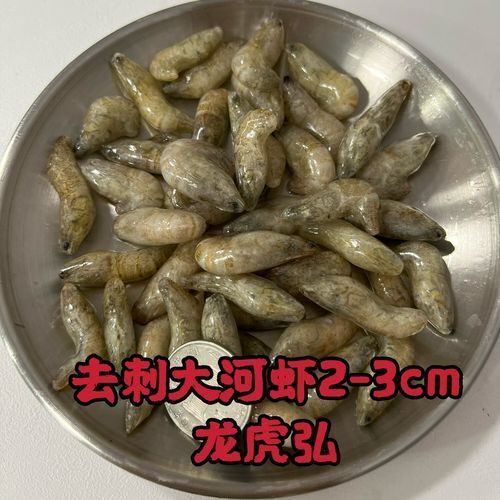 有哪些食物可以替代活泥鰍作為龍魚(yú)餌料？（龍魚(yú)的飼養(yǎng)過(guò)程中，活泥鰍可能難以獲得或價(jià)值昂貴的食物）