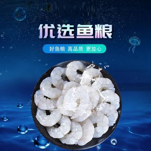 有哪些食物可以替代活泥鰍作為龍魚(yú)餌料？（龍魚(yú)的飼養(yǎng)過(guò)程中，活泥鰍可能難以獲得或價(jià)值昂貴的食物）