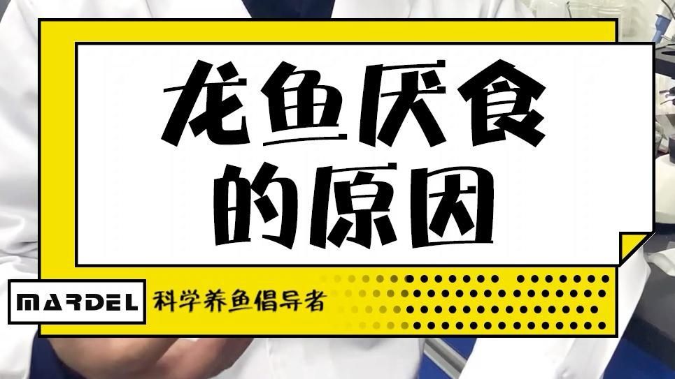 龍魚厭食可能是哪些疾病前兆？（龍魚厭食可能是多種疾病前兆，龍魚厭食可能是疾病前兆）