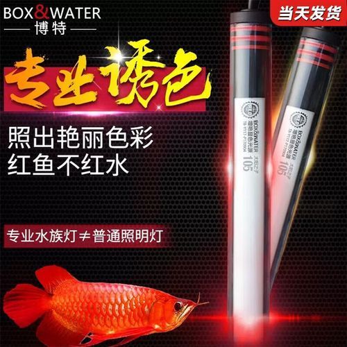 博特龍魚燈有哪些型號(hào)（博特龍魚燈哪個(gè)型號(hào)最適合紅龍）
