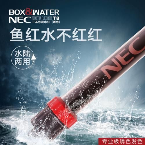 博特龍魚燈有哪些型號(hào)（博特龍魚燈哪個(gè)型號(hào)最適合紅龍）