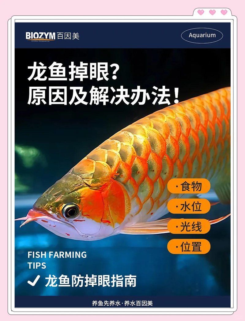 如何判斷龍魚是否因光線問題掉眼？（龍魚掉眼3個簡單方法幫你搞定）
