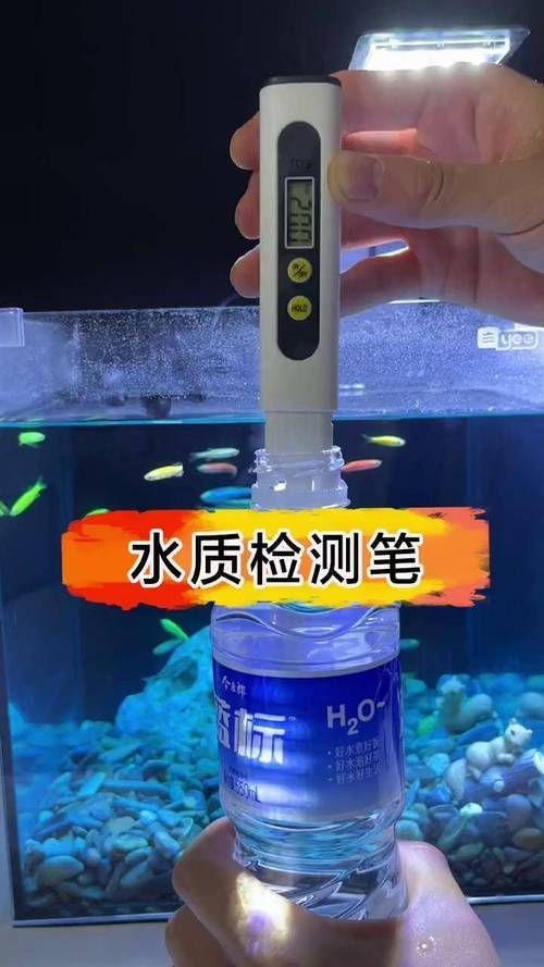 如何預防龍魚嘴抖動的發生？（如何預防龍魚嘴抖動）