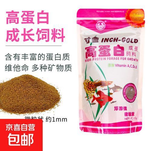 如何科學飼養紅龍魚以達到最大尺寸？（科學飼養紅龍魚）