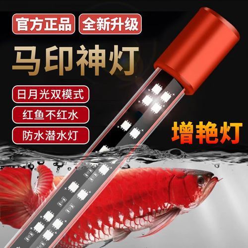 推薦幾款性價比高的龍魚誘色燈（龍魚燈哪款好用性價比pk）