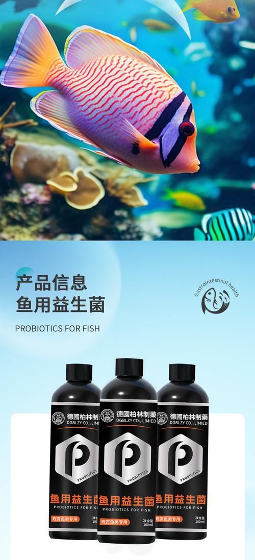 龍魚益生菌的最佳使用頻率是多少？（龍魚益生菌的使用頻率）