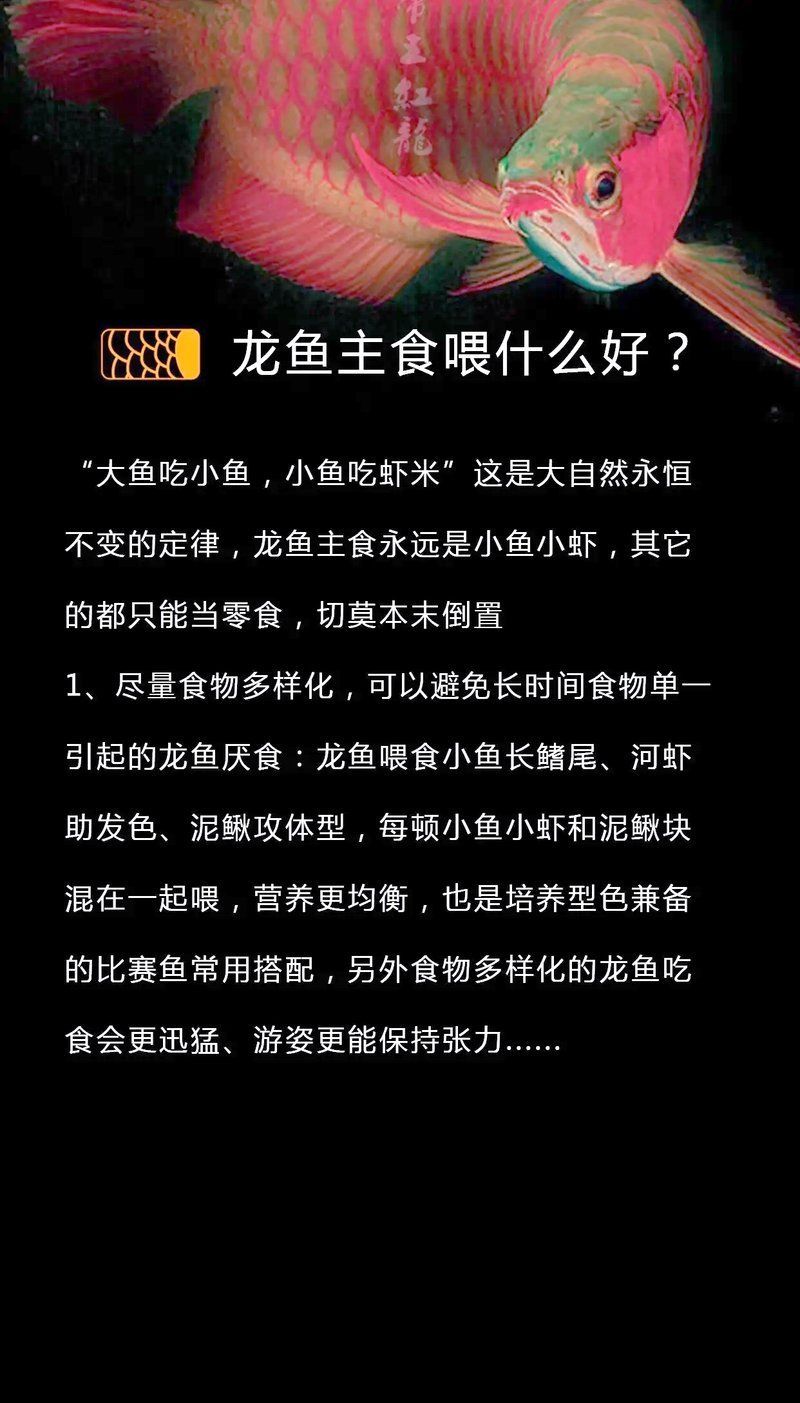 如何挑選新鮮的龍魚餌料？（如何挑選新鮮的龍魚餌料）