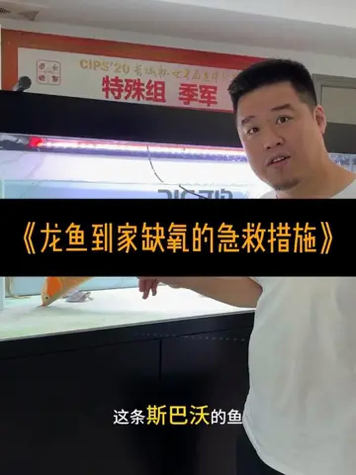 龍魚嘴巴一直張開是缺氧嗎？（龍魚嘴巴一直張開怎么辦？）
