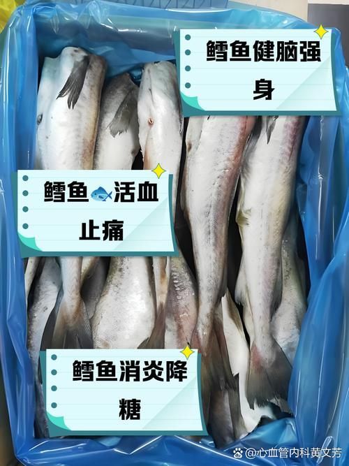 雪龍魚病多久會好（arxiv論文助手雪龍魚（arxiv論文助手）要求）