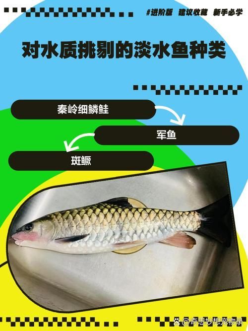 雪龍魚病多久會好（arxiv論文助手雪龍魚（arxiv論文助手）要求）