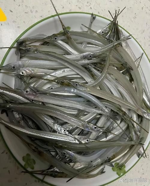雪龍魚病多久會好（arxiv論文助手雪龍魚（arxiv論文助手）要求）