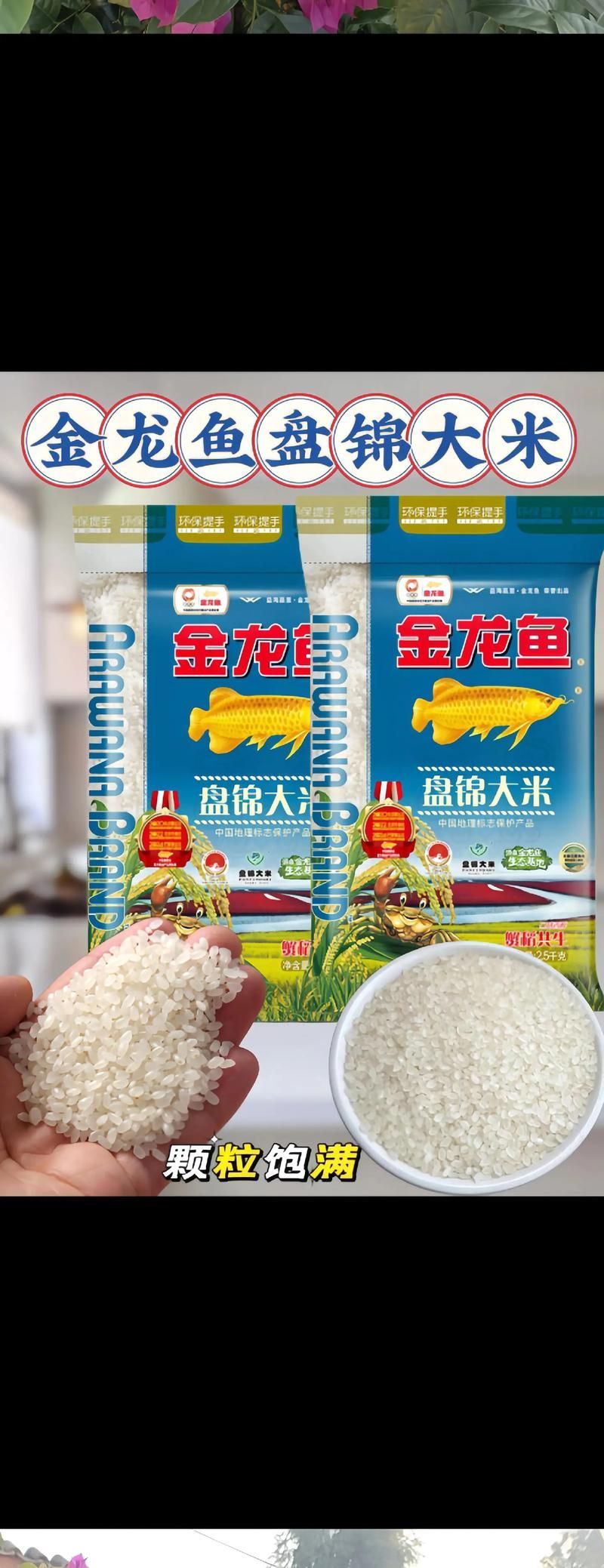 如何科學喂養金龍魚，確保營養均衡？（科學喂養金龍魚） 如何科學喂養金龍魚，確保營養均衡？（科學喂養金龍魚） 龍魚百科 第3張