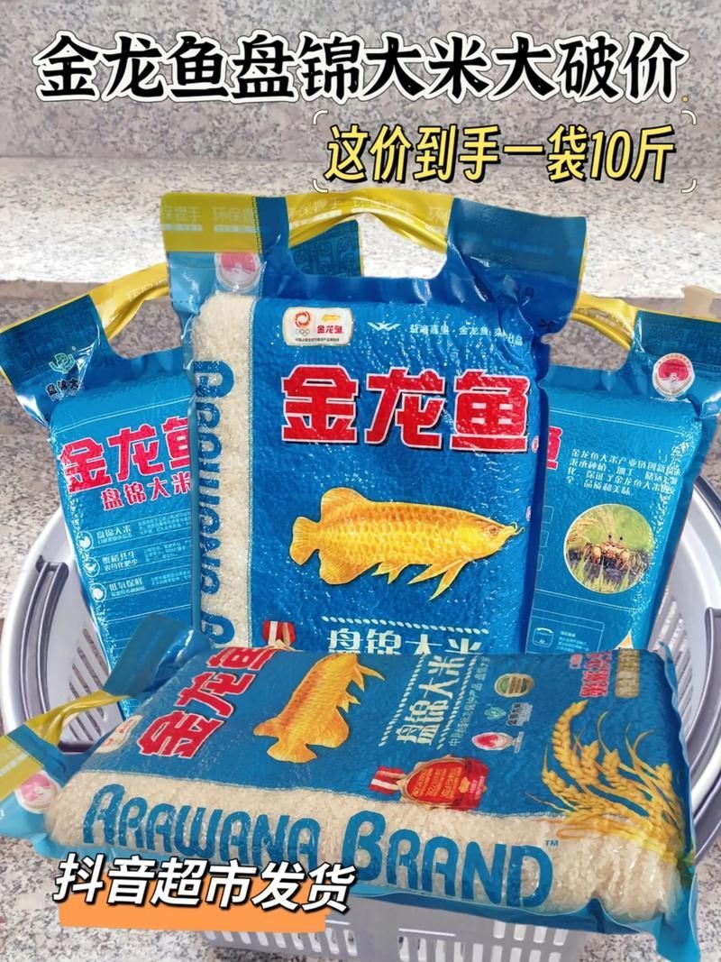 如何科學喂養金龍魚，確保營養均衡？（科學喂養金龍魚） 如何科學喂養金龍魚，確保營養均衡？（科學喂養金龍魚） 龍魚百科 第6張
