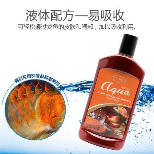 如何預防龍魚鱗有洞？（龍魚換水的正確方式）