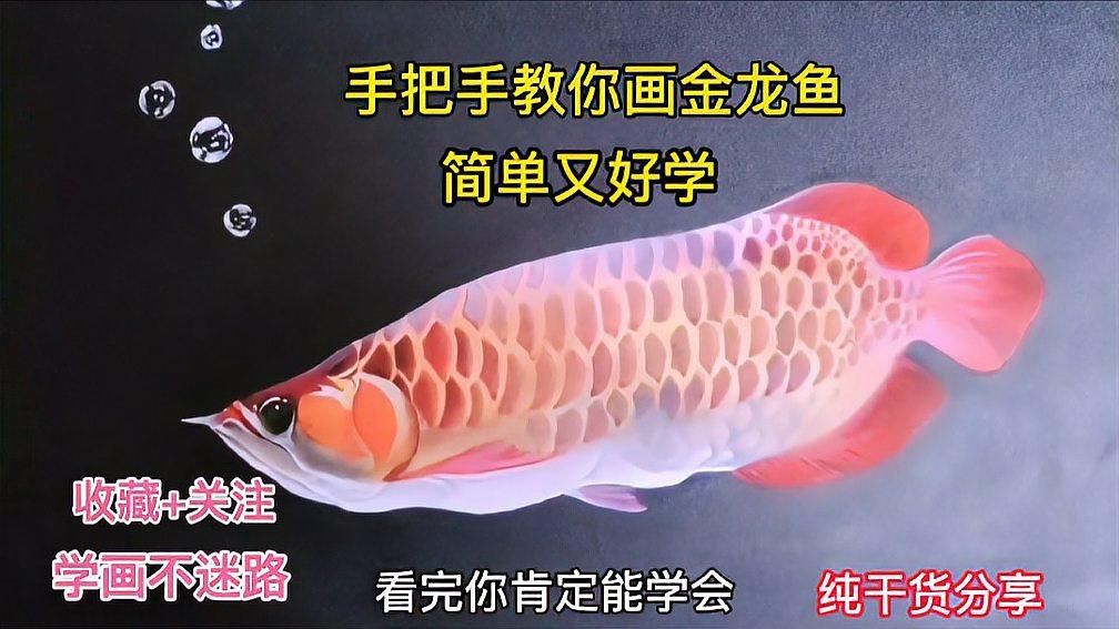 有沒有視頻教程教如何畫紅龍魚鱗片底色？（如何畫紅龍魚鱗片底色？）