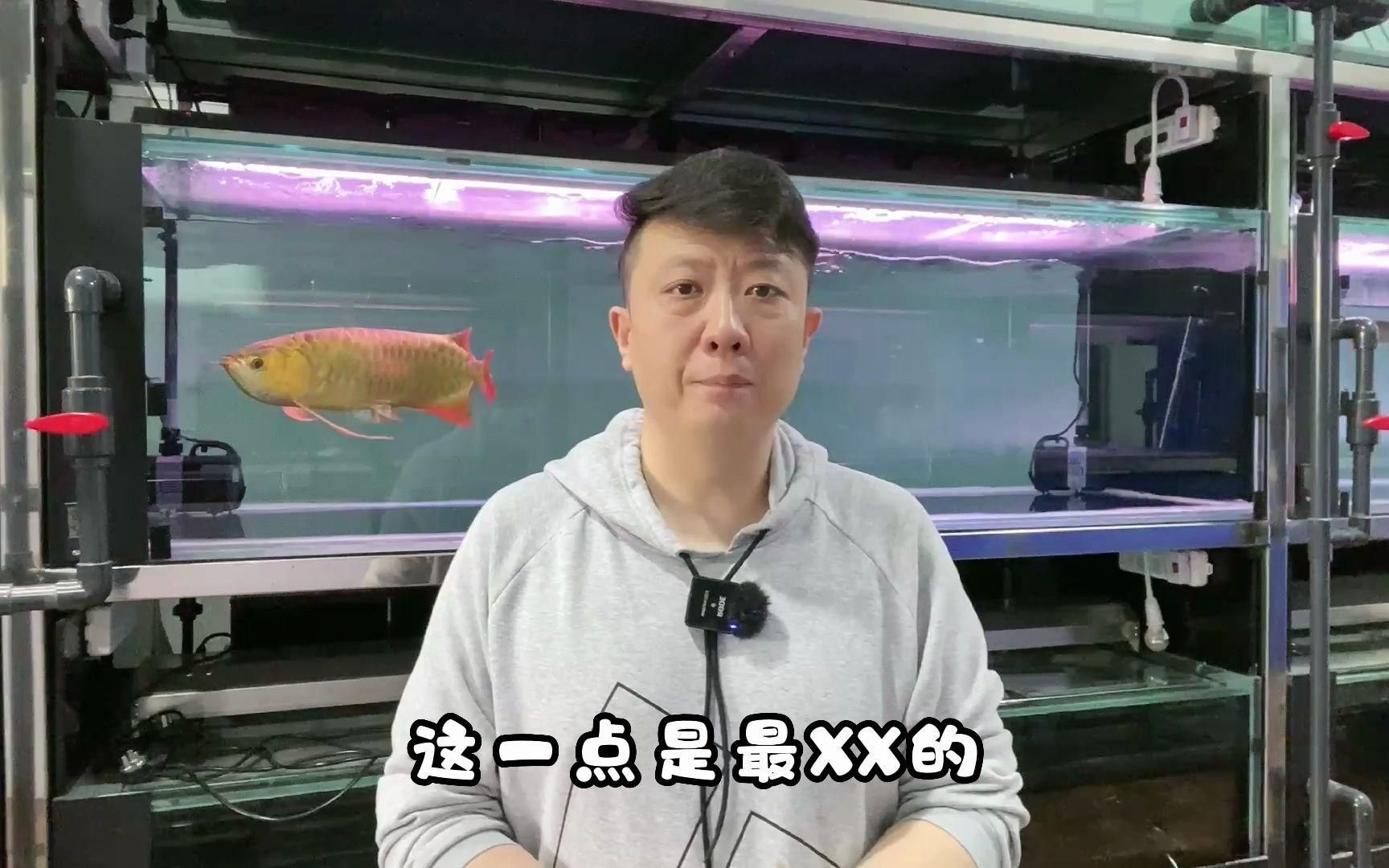 如何判斷龍魚是否因環境變化而不吃？（龍魚不吃食物是由于環境變化引起的，如何緩解龍魚環境應激）