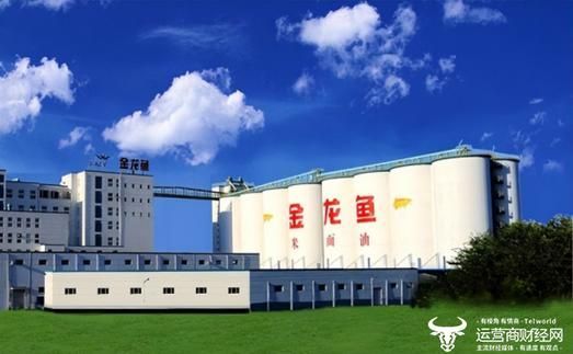 邵斌先生在金龍魚的職責有哪些？（益海嘉里金龍魚食品集團副總裁邵斌職務履歷時間線）