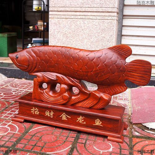 哪里可以購買到80公分的金龍魚？（80公分的金龍魚的飼養(yǎng)成本是多少？）