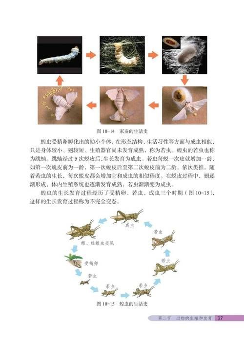 龍魚吃活食后多久會排出寄生蟲？（調用工具arxiv論文助手,用戶要求詳解龍魚吃活食后多久會排出寄生蟲）