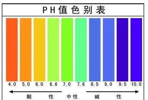 如何科學養護龍魚，避免龍魚死亡？（養殖龍魚的注意事項）