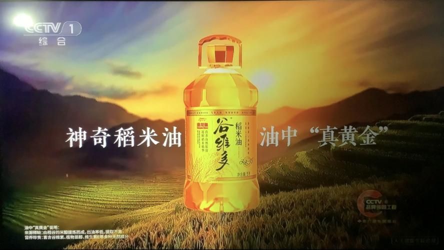 金龍魚系列油哪個品牌口碑最好？（金龍魚系列油哪個品牌口碑最好金龍魚谷維多稻米油推薦）
