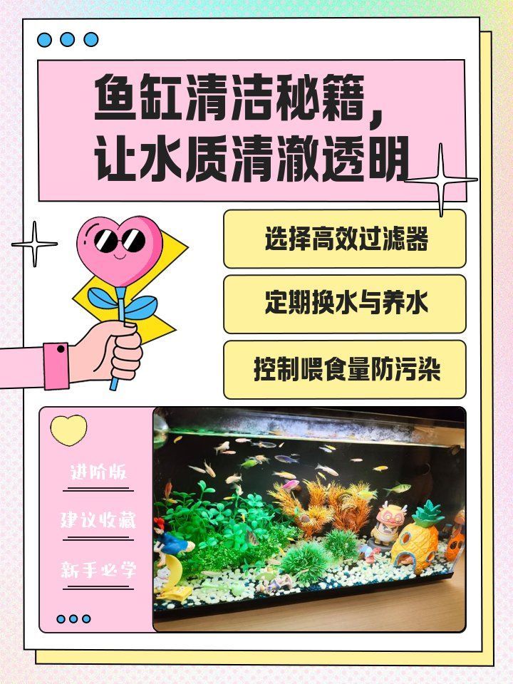 有哪些方法可以改善龍魚的水質？