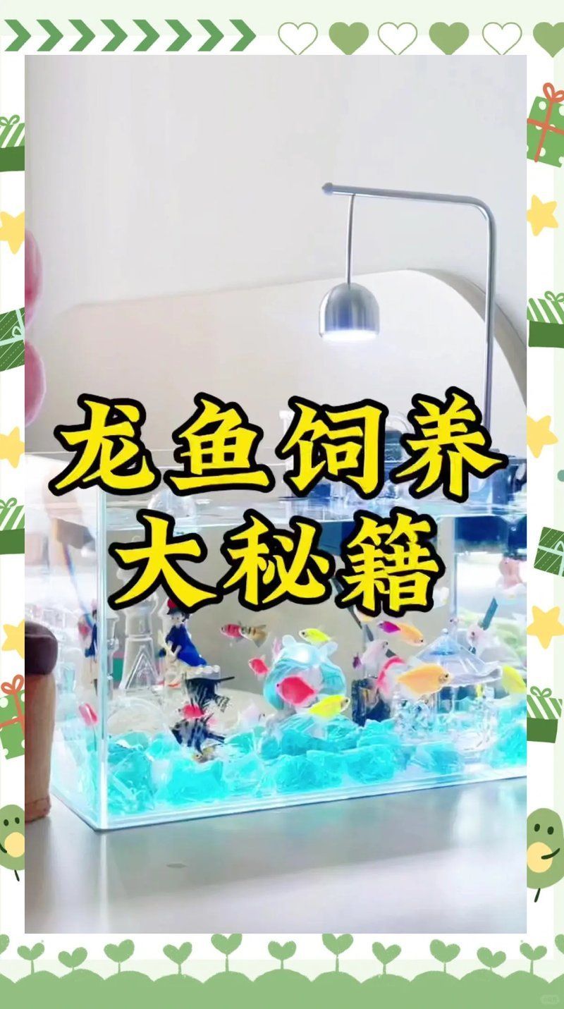 有哪些方法可以改善龍魚的水質？