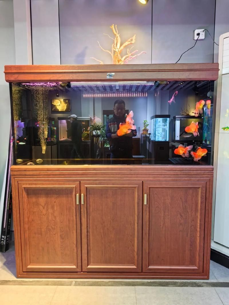 有哪些方法可以改善龍魚的水質？