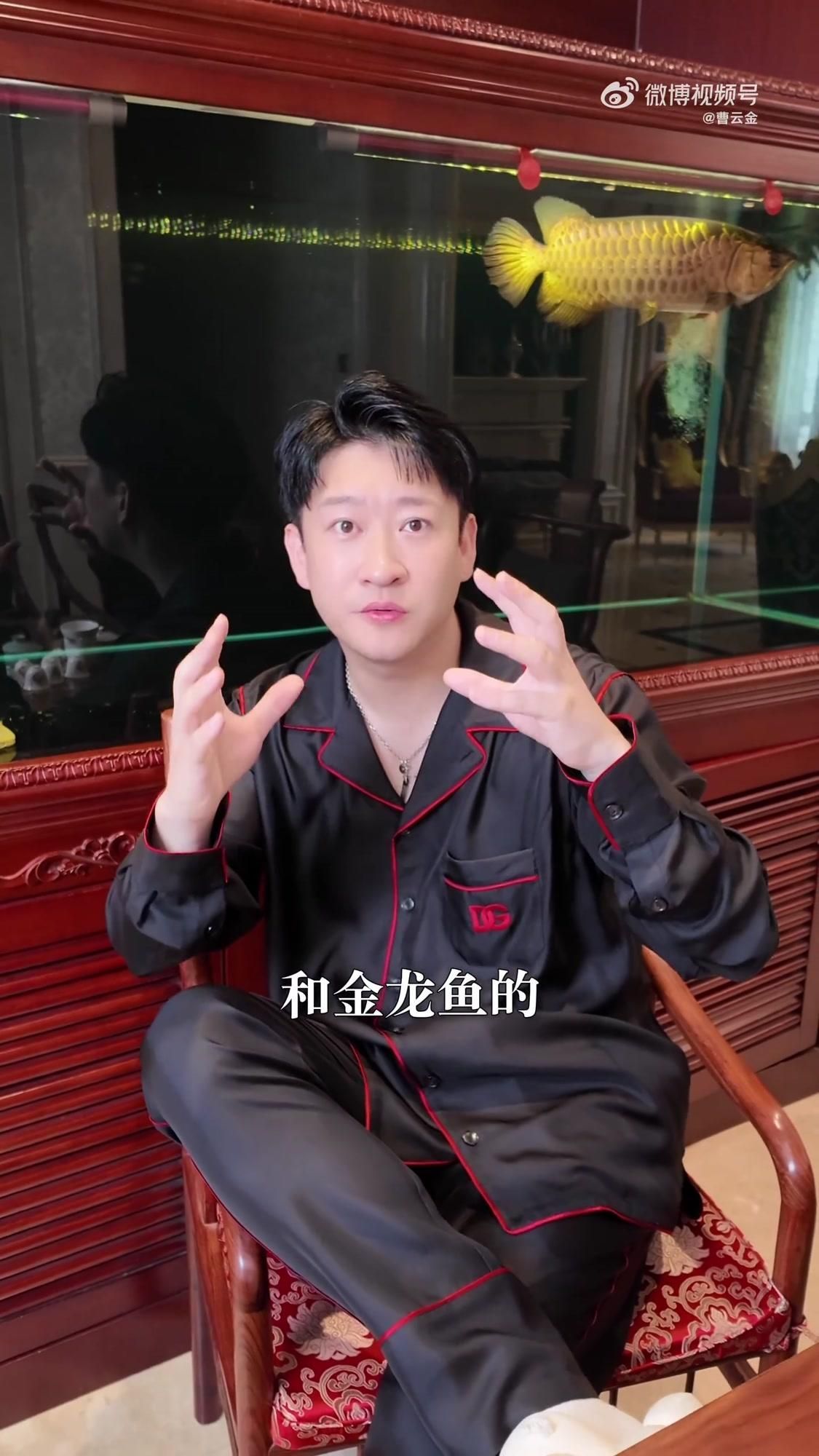 銀龍魚和金龍魚哪個更容易養(yǎng)？（新手飼養(yǎng)銀龍魚和金龍魚哪個更容易養(yǎng)）