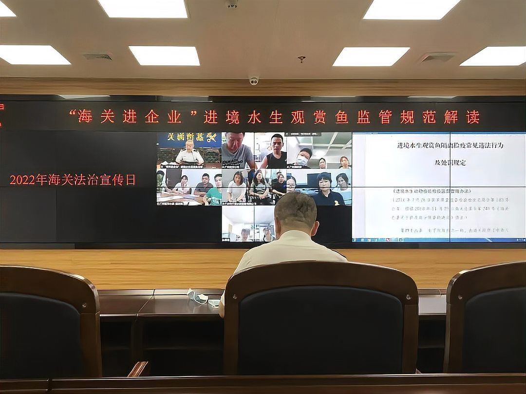 龍魚批發市場的交易流程是怎樣的？（龍魚批發市場交易流程）
