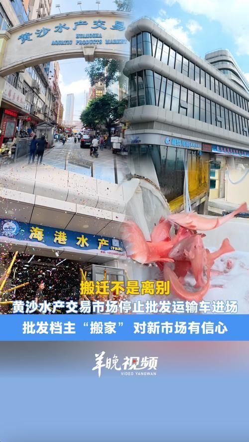 龍魚批發市場的交易流程是怎樣的？（龍魚批發市場交易流程）