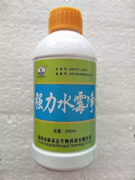 詳解（1000字和配圖）龍魚真菌感染會傳染給其他魚嗎？（龍魚的真菌感染會傳染給其他魚嗎？）
