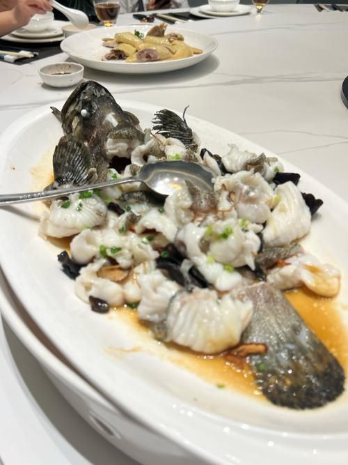 能提供更多鱘龍魚的圖片嗎？（鱘龍魚的生態與保護）