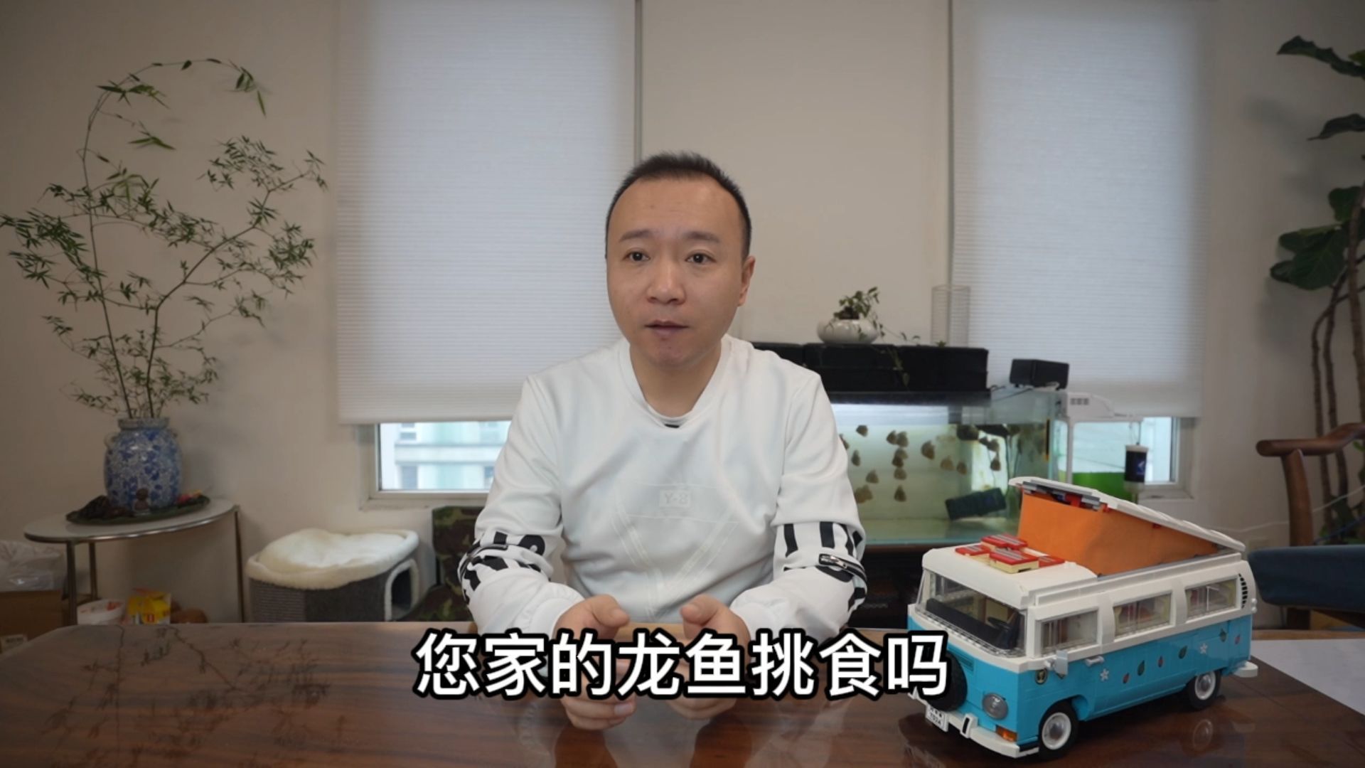 龍魚挑食多久會(huì)恢復(fù)正常？（龍魚拒食9大原因及解決方法及解決方法進(jìn)度條危急救護(hù)車）