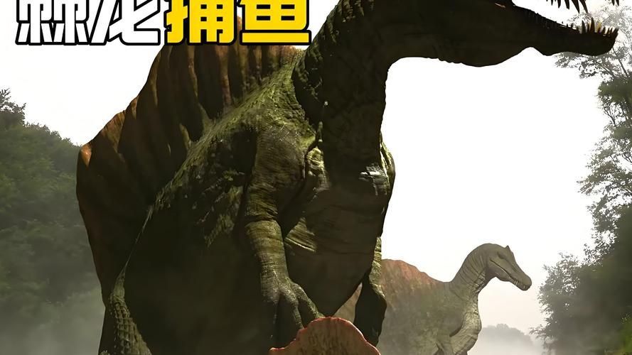 龍魚的攻擊性如何影響其戰斗力？（富媒體組件查詢龍魚打架、養殖攻略）