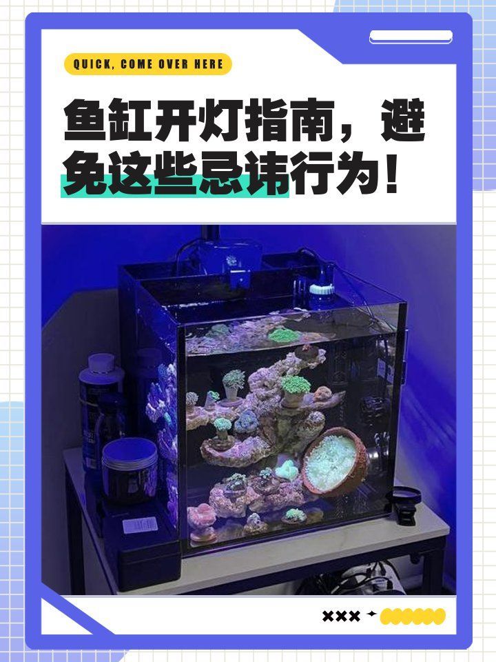 龍魚夜燈需要每天開多久？（龍魚夜燈使用時長取決于多種因素）