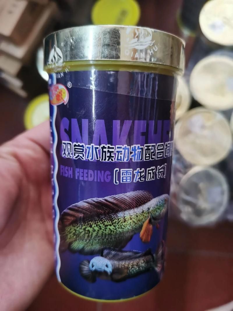 給我推薦一些適合小火龍魚的飼料品牌（小火龍魚的選擇） 給我推薦一些適合小火龍魚的飼料品牌（小火龍魚的選擇） 龍魚百科 第6張
